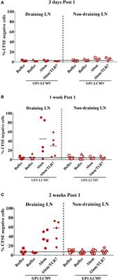 Alum/Toll-Like Receptor 7 Adjuvant Enhances the Expansion of Memory B Cell Compartment Within the Draining Lymph Node